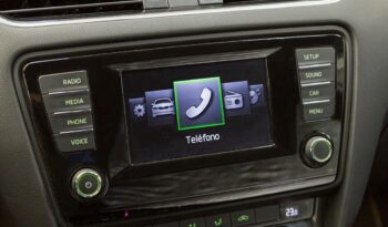 Skoda Octavia RS 2.0 TDI 184CV lleno