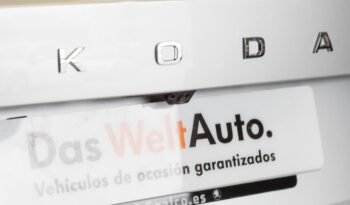 Skoda Fabia Ambition Plus 1.0 TSI 95CV lleno