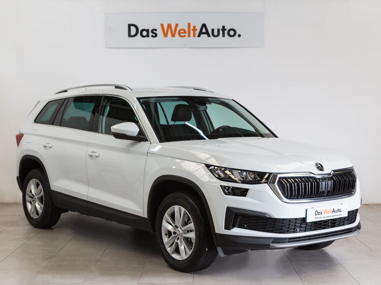 Skoda Kodiaq Ambition 2.0 TDI DSG-7 150CV