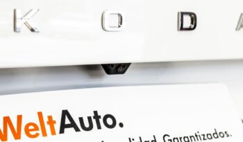 Skoda Kamiq Ambition 1.0 TSI 95CV lleno