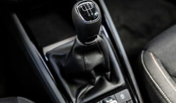 Skoda Kamiq Ambition 1.0 TSI 95CV lleno