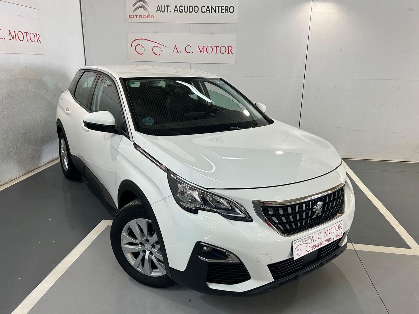 Peugeot 3008 1.5BlueHDi Active S&S 130 CV lleno