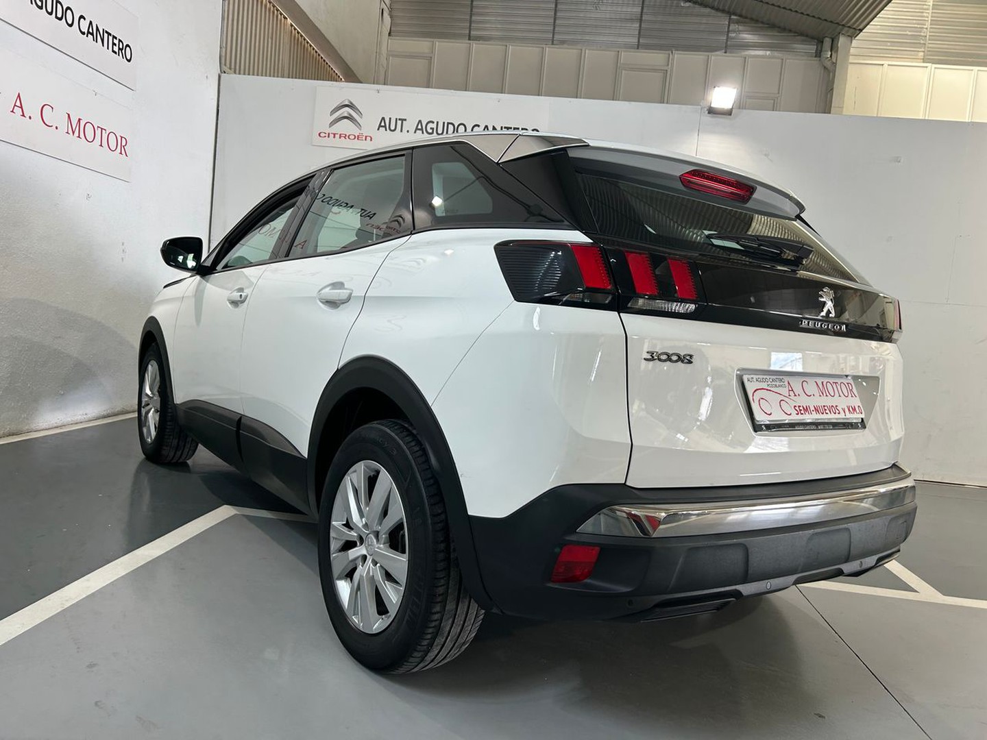 Peugeot 3008 1.5BlueHDi Active S&S 130 CV lleno