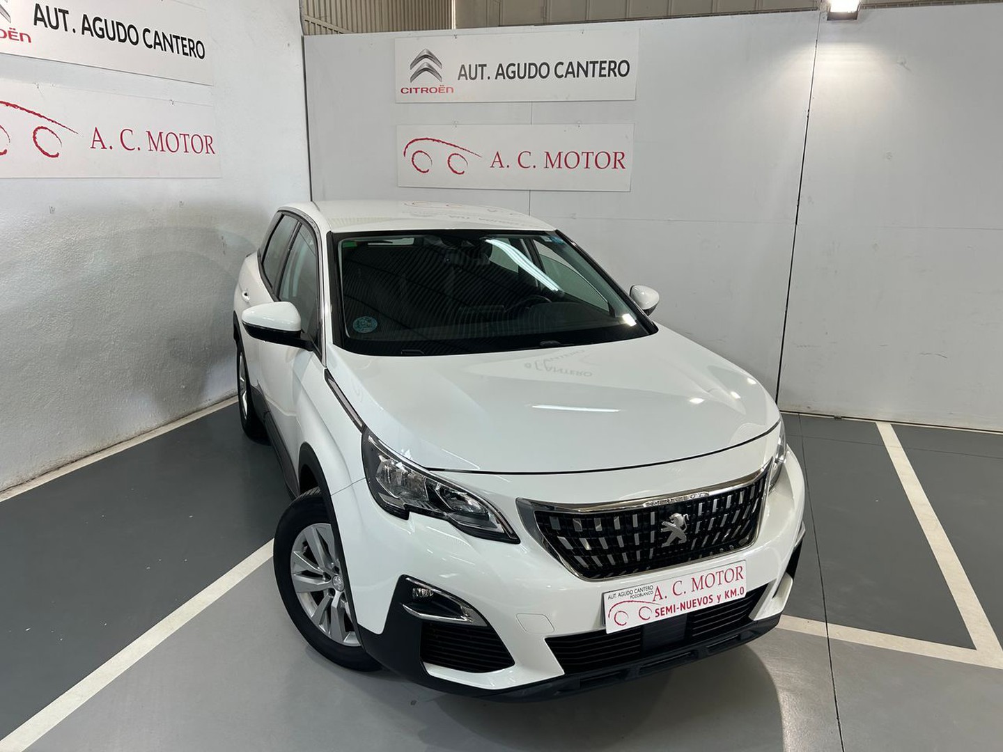 Peugeot 3008 1.5BlueHDi Active S&S 130 CV lleno