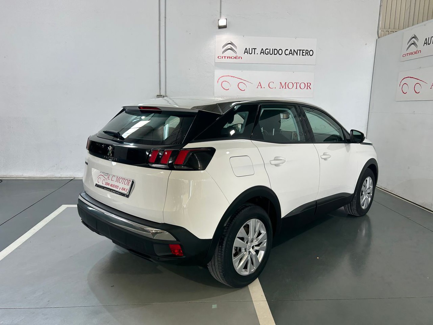 Peugeot 3008 1.5BlueHDi Active S&S 130 CV lleno