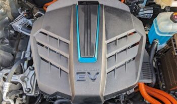 Kia e-Niro e-Niro 150kW Emotion (Long Range) lleno
