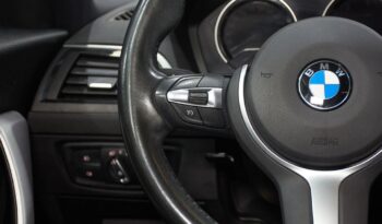 BMW Serie 1 F40 Diesel 118dA lleno