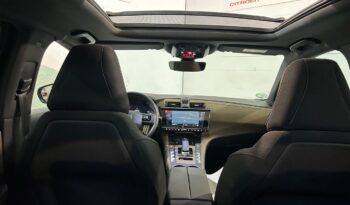 DS Automobiles DS 7 Crossback DS 7 Crossback DS7 1.5BlueHDi Bastille Aut. 130 CV lleno