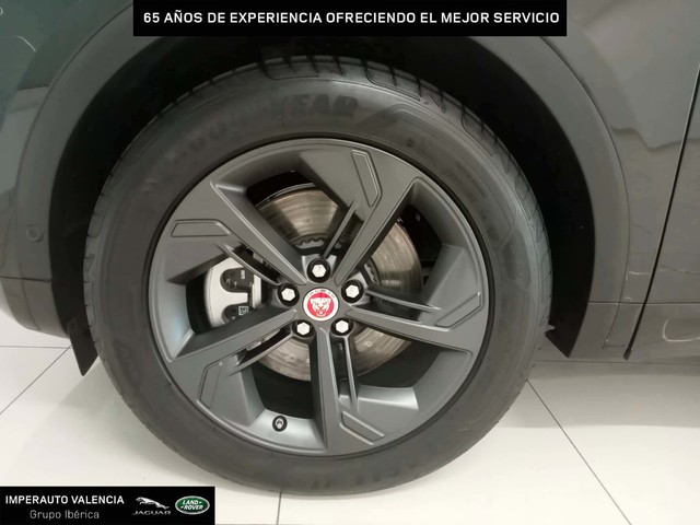 imagen 8