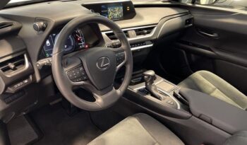 Lexus UX  2.0 250h Business Navigation lleno