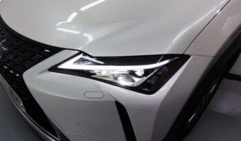 Lexus UX 300e Executive lleno