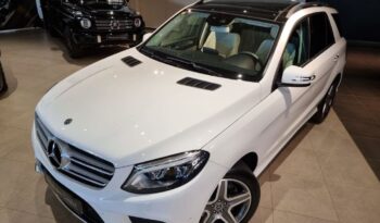 Mercedes-Benz Clase GLE 350 d 4Matic AMG Line lleno