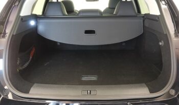 MG MG MARVEL R MARVEL R LUXURY lleno