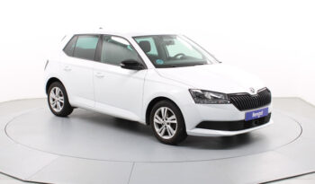 Skoda Fabia 1.0 TSI Ambition Plus 70 kW (95 CV) lleno