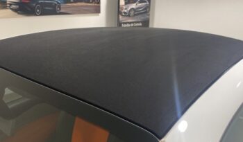 smart fortwo coupe Basis passion lleno