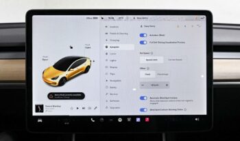 Tesla Model 3 Long-Range Dual Motor Performance AWD lleno