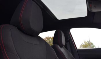 Volkswagen Polo 2.0 TSI GTI DSG 81kW lleno