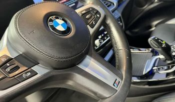 BMW X3 xDrive30i 185 kW (252 CV) lleno