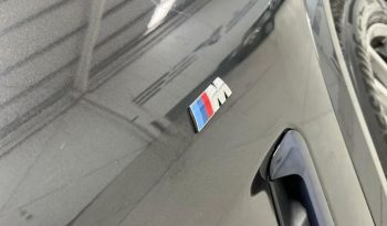 BMW X3 xDrive30i 185 kW (252 CV) lleno
