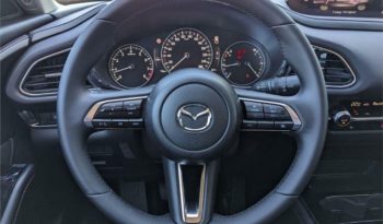 Mazda CX-30 e-SKYACTIV-G 2.0 110 kW 2WD Homura lleno