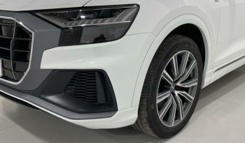 Audi Q8 50 TDI quattro 210 kW (286 CV) tiptronic lleno