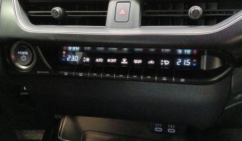 Lexus UX 2.0 250h Business lleno