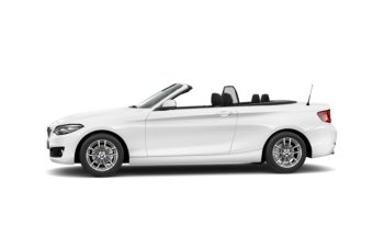 BMW Serie 2 218d Cabrio 110 kW (150 CV) lleno
