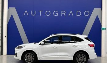 Ford Kuga 1.5 EcoBoost S&S ST-Line 4×2 110 kW (150 CV) lleno