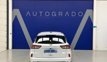 Ford Kuga 1.5 EcoBoost S&S ST-Line 4×2 110 kW (150 CV) lleno