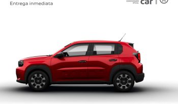Fiat Panda 1.2 MHEV DCT ICON 100 5P lleno
