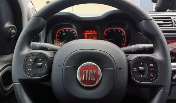 Fiat Panda City Life Hybrid 1.0 Gse 51kw (70CV) lleno