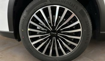 Ebro S800 1.6 TGDI 147 DCT LUXURY 7PL TECHO PORTON MIRROR LL19 CAM 360 KEYLESS lleno